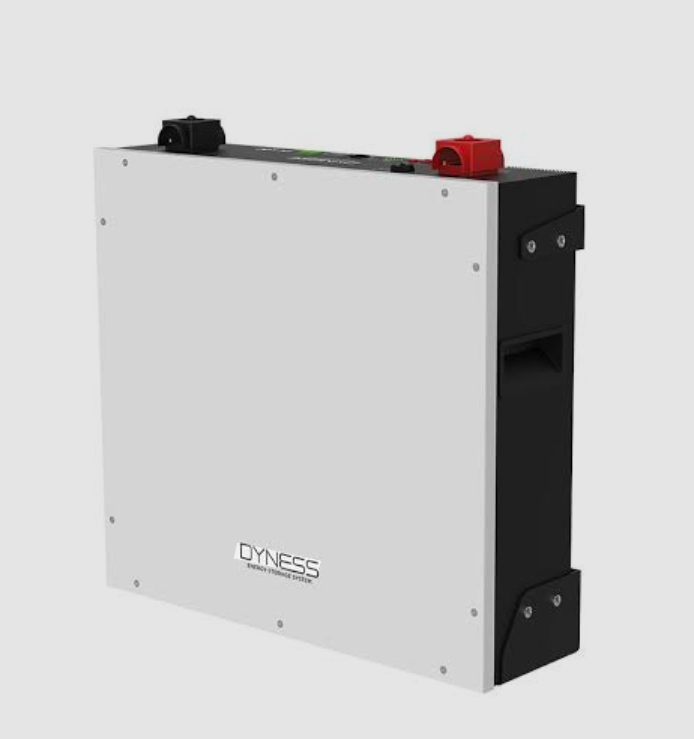 باتری لیتیومی Dyness مدل DL5.0C ظرفیت 5 کیلووات با گارنتی